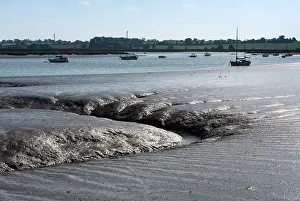 Rivulet: Mud Flats