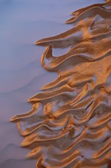 Escalante: Mud Patterns