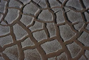 Blown: Mudcracks in Lake Powell