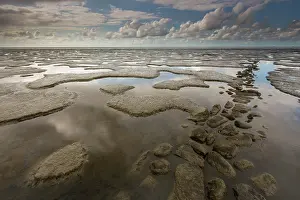 Herritage: Mudflats and a rock jetty in the waddensea at low tide