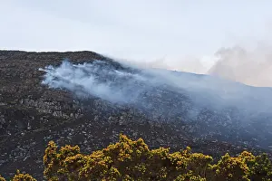 Burning: Muirburn;Traditional burning of heather moorland