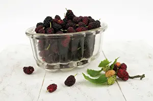 Fluted: Mulberry, Morus nigra, fluted glass bowl filled with berries