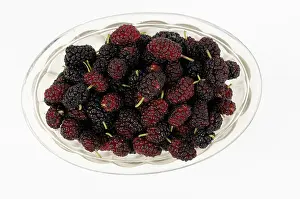 Ripening: Mulberry, Morus nigra, fluted glass bowl filled with berries