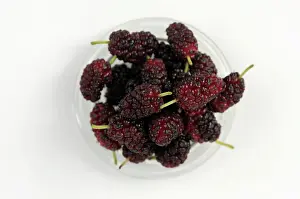 Ripening: Mulberry, Morus nigra, glass bowl filled with berries in var