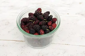 Mulberry: Mulberry, Morus nigra, A glass jar filled with berries in va