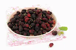 Ripening: Mulberry, Morus nigra, plate filled with berries in various