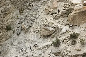 Fragments: Mule path along the river Lingti Zanskar India