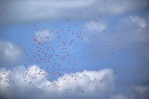 Escape: Multicolored balloons in sky