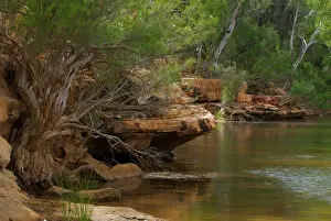 Murchison: Murchison River flowing through red rocks