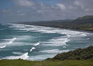Muriwai: Muriwai beach, North Island, New Zealand