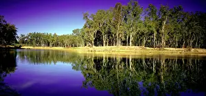 Murray: Murray River. near Barmah. Victoria, Australia