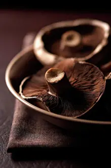 Repetition: Mushroom, Portobello mushroom, Psalliota bisporus
