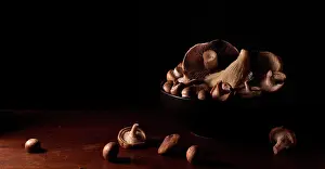 Illustrative: Mushroom, Psalliota, Brown subject