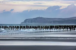 Intensification: Mussel culture