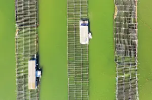 Shellfish: Mussel and oyster farming in the Bahia del Fangar