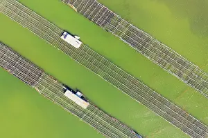 Delta: Mussel and oyster farming in the Bahia del Fangar