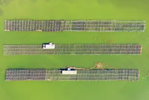 Delta: Mussel and oyster farming in the Bahia del Fangar