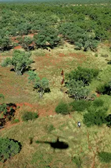 Motorbike: Mustering by helicopter and motorbike.Bushy Park