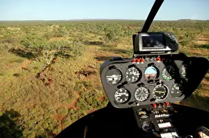 Helicopter: Mustering by helicopter.Bushy Park Cattle Station