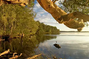 Hugh: Myall Lakes idyll - evening at a tranquil bay at