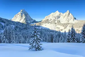 Schwyz: The Myths, Schwyz, Switzerland, Europe