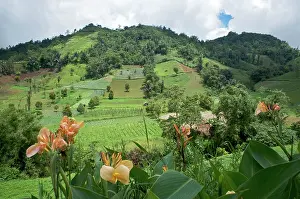Minahasa: N. Sulawesi - minahasa highlands