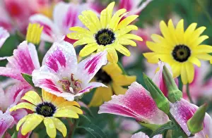 Portland: NA, USA, Oregon, Portland. Flower design