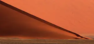 310122: The Namib Desert is considered the oldest desert in the worl