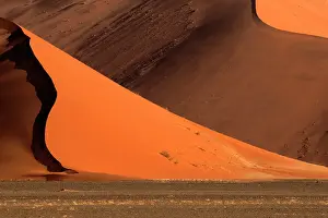 310122: The Namib Desert is considered the oldest desert in the worl