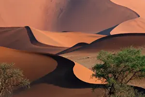 310122: The Namib Desert is considered the oldest desert in the worl
