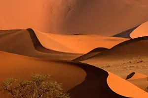 310122: The Namib Desert is considered the oldest desert in the worl