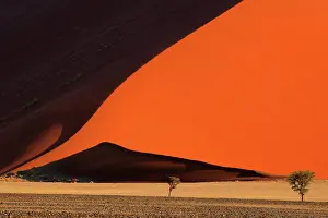 310122: The Namib Desert is considered the oldest desert in the worl