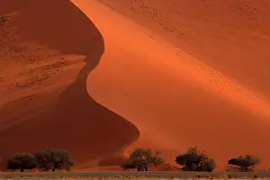 310122: The Namib Desert is considered the oldest desert in the worl