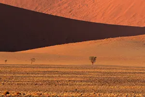 310122: The Namib Desert is considered the oldest desert in the worl