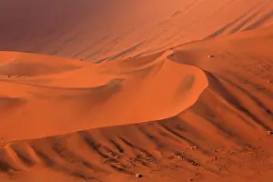 310122: The Namib Desert is considered the oldest desert in the worl