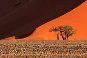 310122: The Namib Desert is considered the oldest desert in the worl