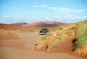 Namibian: NAMIB DESERT - DUNES