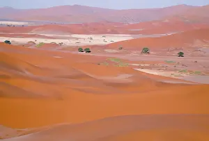 Pans: NAMIB DESERT - DUNES & DRY PANS, with Camelthorn