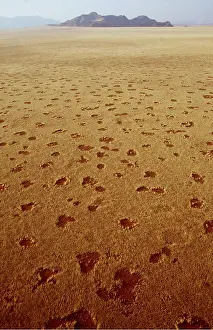 Fairy: NAMIB DESERT - Fairy Circles Circular patches