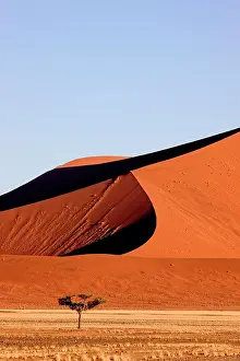 Sossusvlei: Namib Desert, Namib Naukluft Park, Sossusvlei Dunes