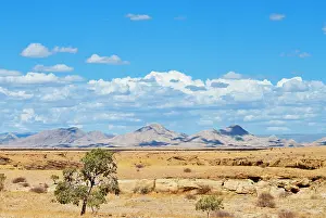 Scattered: Namib desert, Namibia