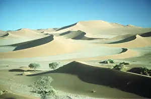 Namibian: Namib Desert - sand dunes at dawn
