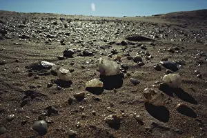 Scattered: Namib Desert Stones