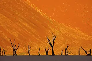 Surreal: Namib-Naukluft National Park, Namibia