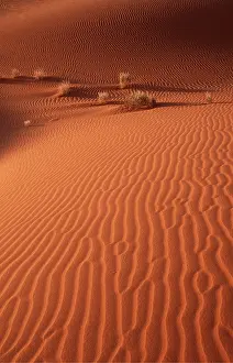 Namibian: Namib-Naukluft Park - structural forms, sand patterns