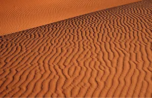 Arty: Namib - Naukluft Park; structural forms in the sand