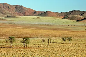 Rand: Namib Rand - Mountains and savannah