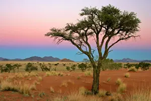 Rand: Namib Rand view over dunes and savannah towards