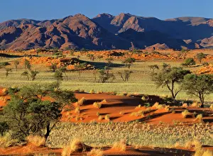Rand: Namib Rand - view over red dunes and savanna to
