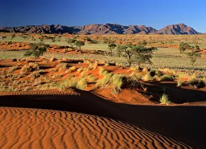 Rand: Namib Rand - view over red dunes and savanna to